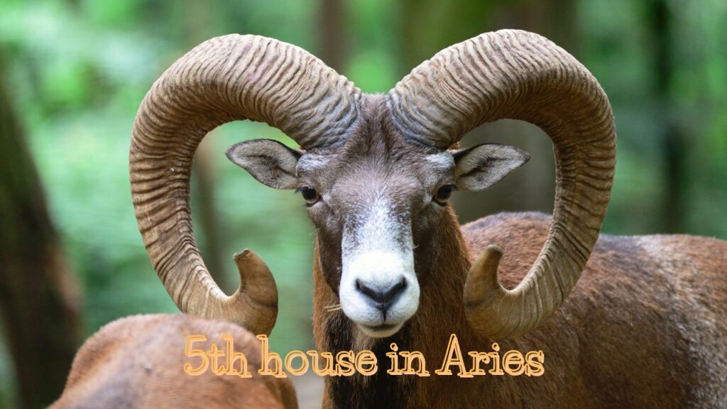 5th house in aries