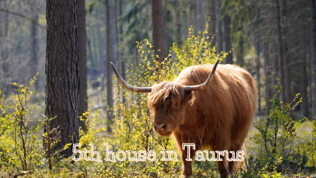 5th house in taurus