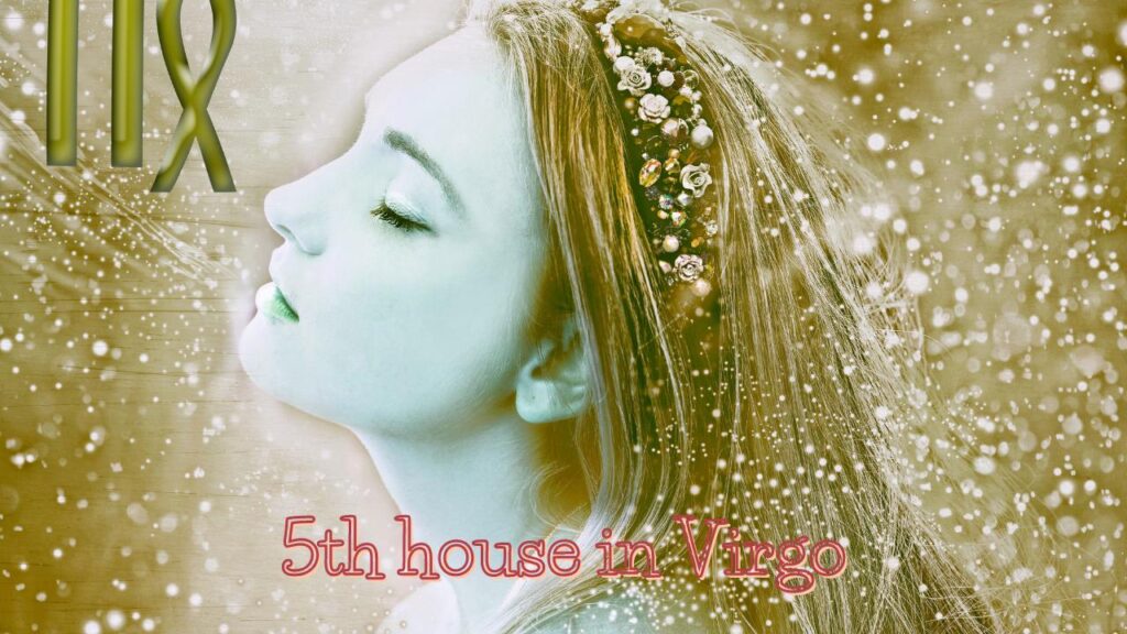 5th house in virgo