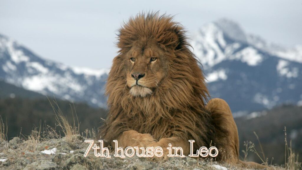 7th house in leo