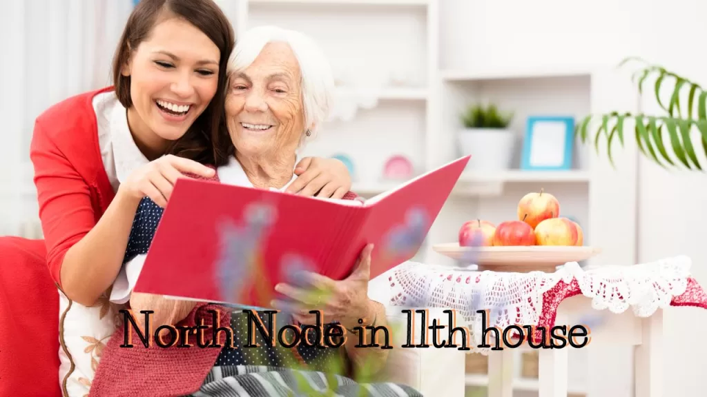 North Node in 11th house