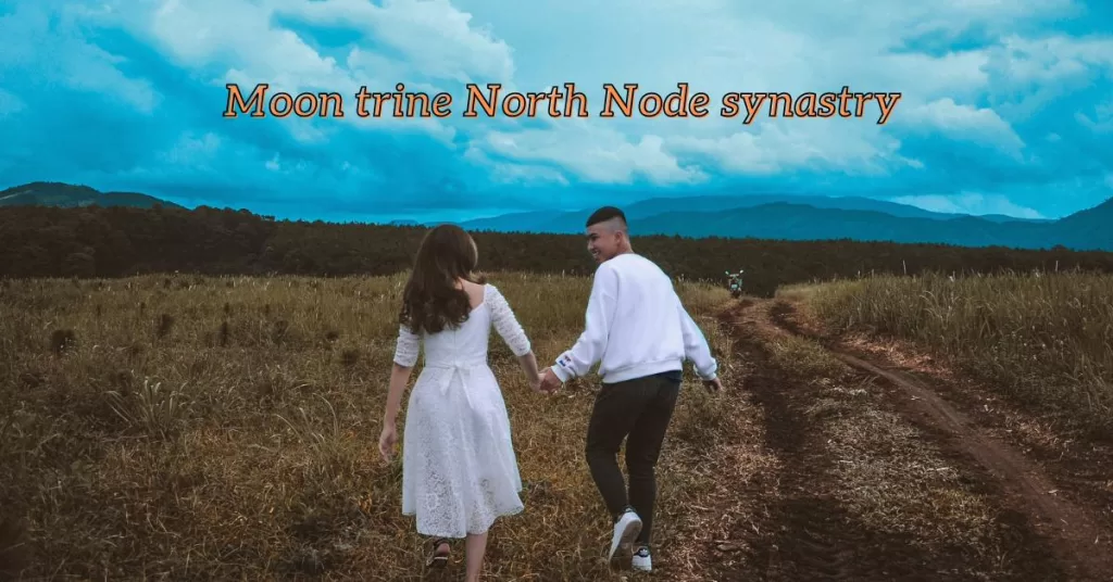 moon trine north node synastry