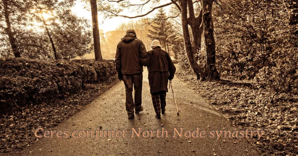 ceres conjunct north node synastry